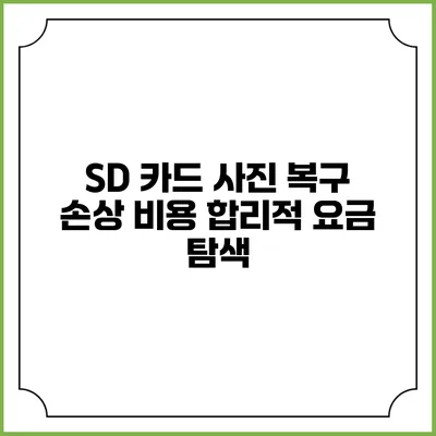 SD 카드 사진 복구 손상 비용 합리적 요금 탐색