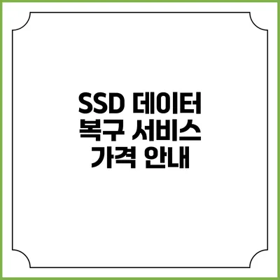 SSD 데이터 복구 서비스 가격 안내
