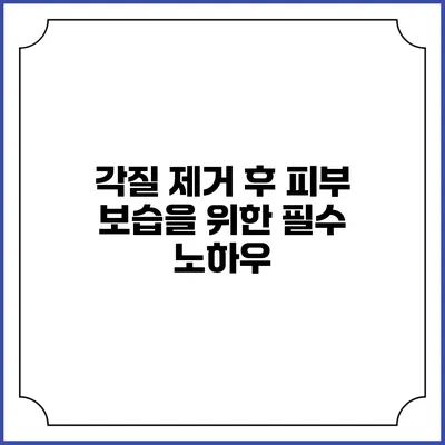 각질 제거 후 피부 보습을 위한 필수 노하우