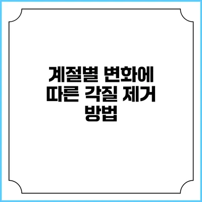 계절별 변화에 따른 각질 제거 방법