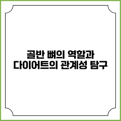 골반 뼈의 역할과 다이어트의 관계성 탐구