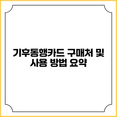 기후동행카드 구매처 및 사용 방법 요약