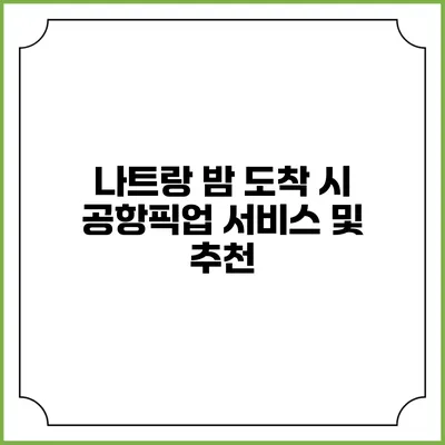 나트랑 밤 도착 시 공항픽업 서비스 및 추천