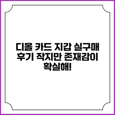 디올 카드 지갑 실구매 후기 작지만 존재감이 확실해!