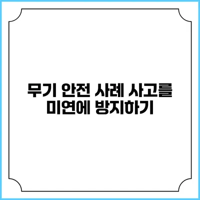 무기 안전 사례 사고를 미연에 방지하기