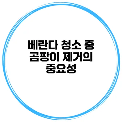 베란다 청소 중 곰팡이 제거의 중요성