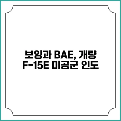 보잉과 BAE, 개량 F-15E 미공군 인도