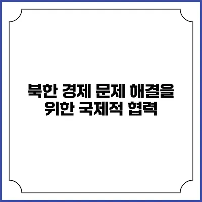 북한 경제 문제 해결을 위한 국제적 협력