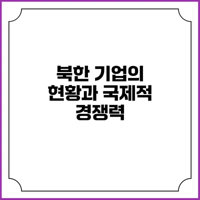 북한 기업의 현황과 국제적 경쟁력