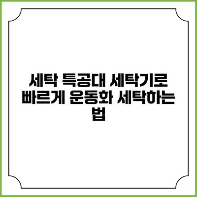 세탁 특공대 세탁기로 빠르게 운동화 세탁하는 법