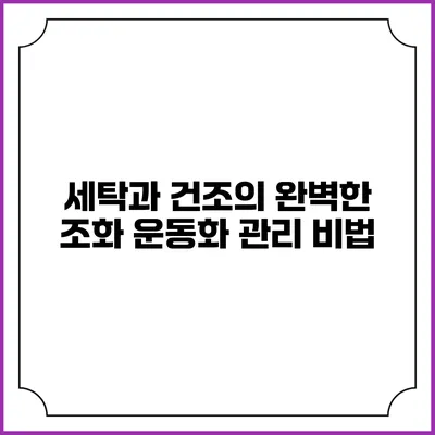 세탁과 건조의 완벽한 조화 운동화 관리 비법