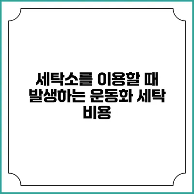 세탁소를 이용할 때 발생하는 운동화 세탁 비용