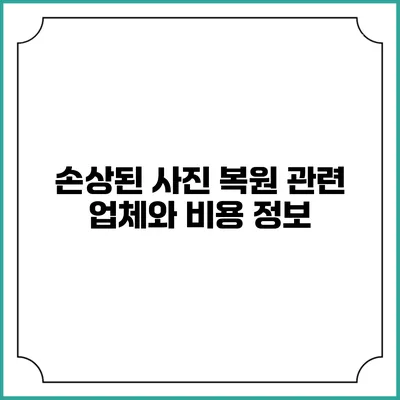 손상된 사진 복원 관련 업체와 비용 정보