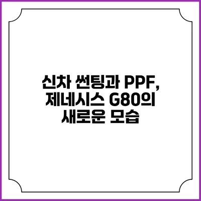 신차 썬팅과 PPF, 제네시스 G80의 새로운 모습