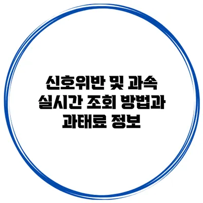 신호위반 및 과속 실시간 조회 방법과 과태료 정보