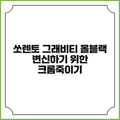 쏘렌토 그래비티 올블랙 변신하기 위한 크롬죽이기