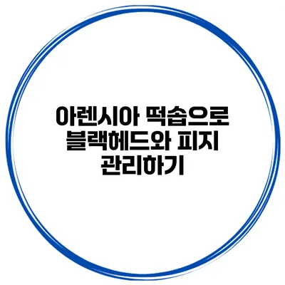 아렌시아 떡솝으로 블랙헤드와 피지 관리하기