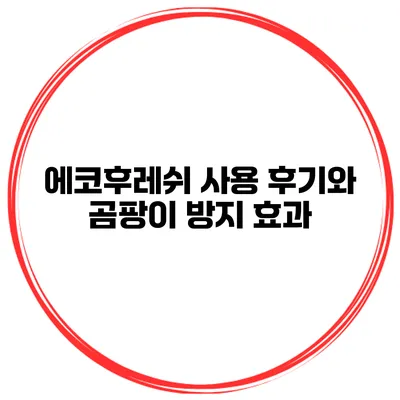 에코후레쉬 사용 후기와 곰팡이 방지 효과