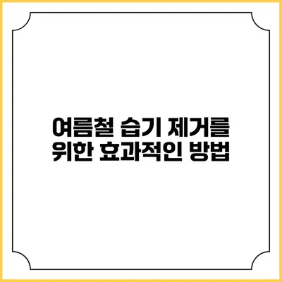 여름철 습기 제거를 위한 효과적인 방법