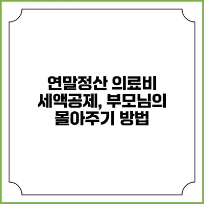연말정산 의료비 세액공제, 부모님의 몰아주기 방법