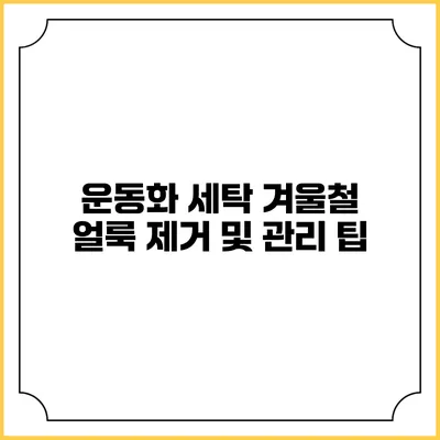 운동화 세탁 겨울철 얼룩 제거 및 관리 팁