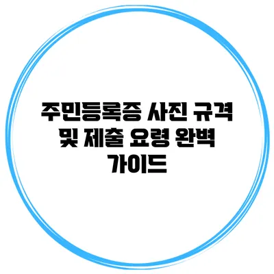 주민등록증 사진 규격 및 제출 요령 완벽 가이드