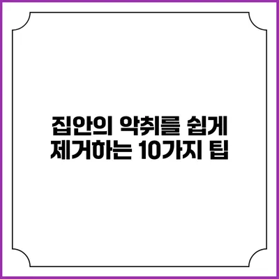 집안의 악취를 쉽게 제거하는 10가지 팁