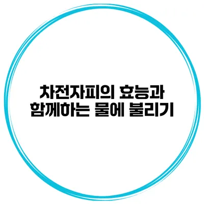 차전자피의 효능과 함께하는 물에 불리기
