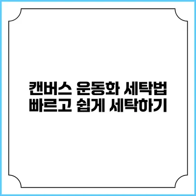 캔버스 운동화 세탁법 빠르고 쉽게 세탁하기