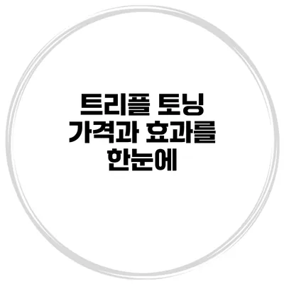 트리플 토닝 가격과 효과를 한눈에