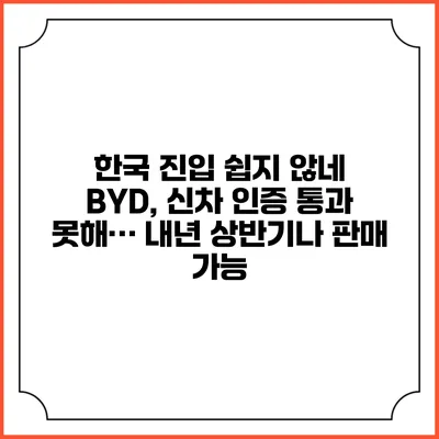 한국 진입 쉽지 않네? BYD, 신차 인증 통과 못해… 내년 상반기나 판매 가능