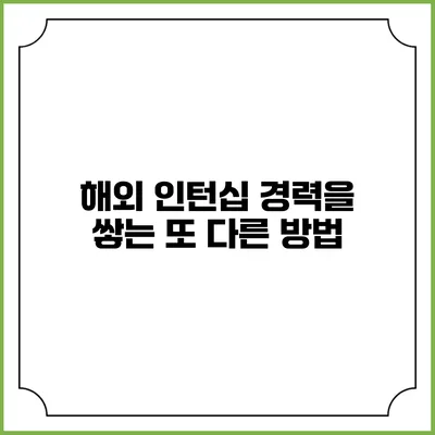 해외 인턴십 경력을 쌓는 또 다른 방법