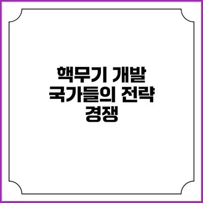 핵무기 개발 국가들의 전략 경쟁