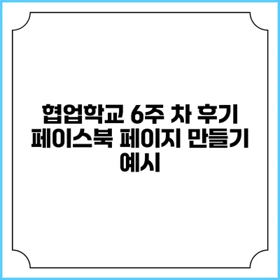 협업학교 6주 차 후기 페이스북 페이지 만들기 예시