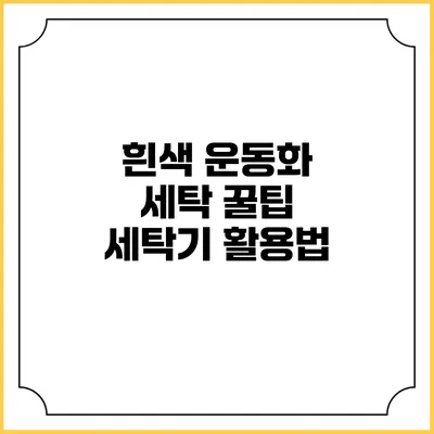 흰색 운동화 세탁 꿀팁 세탁기 활용법