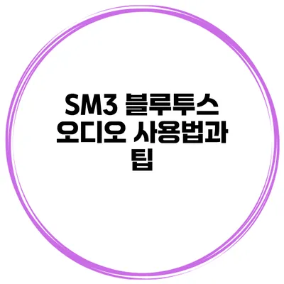 SM3 블루투스 오디오 사용법과 팁